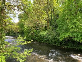The River Tavy